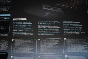 Roccat Isku FX - 06