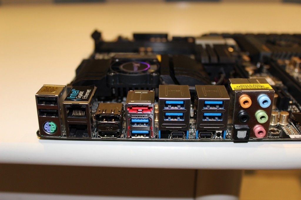 back plate