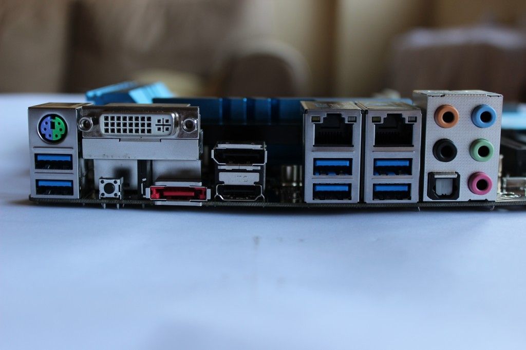 back panel