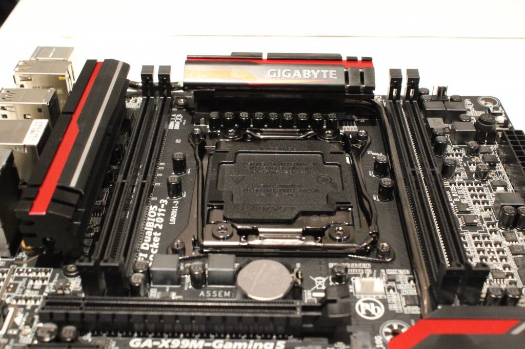 zona socket (2)