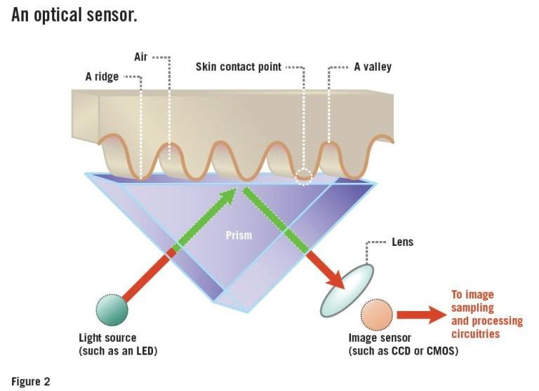 Sensores De Huellas Dactilares Cómo Funcionan Y Por Qué No Son Tan Seguros 5677