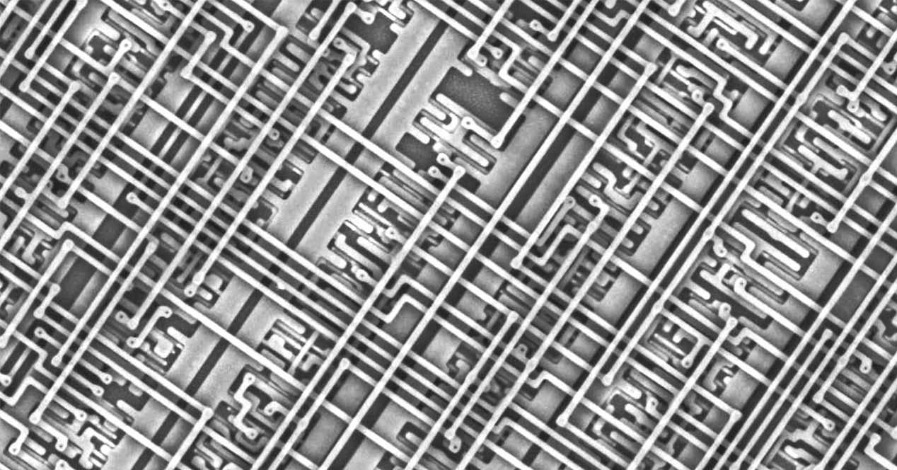 Microscopio Chip