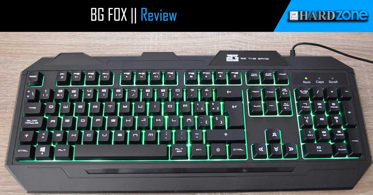Review BG Fox