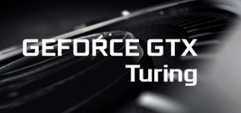 NVIDIA GeForce GTX 1660: primeras imágenes de los modelos de EVGA y GIGABYTE