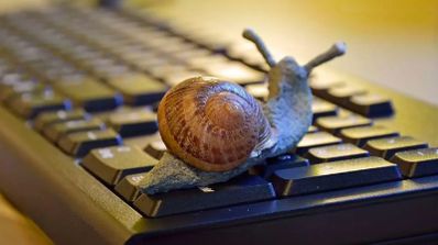Caracol sobre un teclado