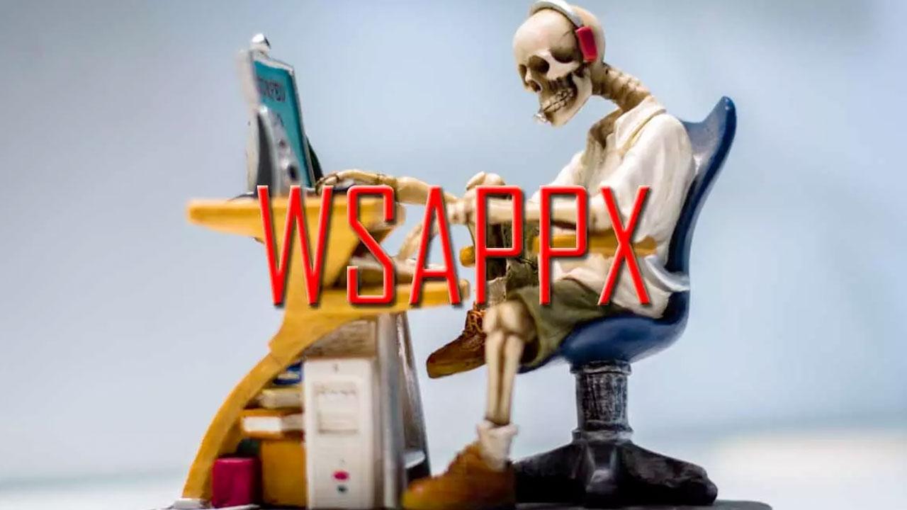 WSAPPX