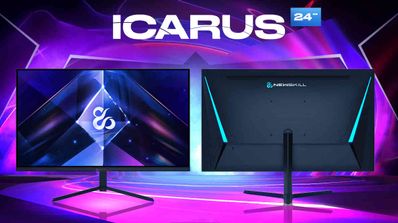 Icarus 24
