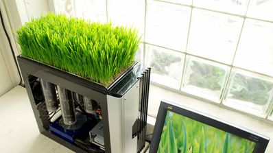 Hardware vegano