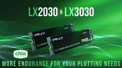 PNY SSD Chia