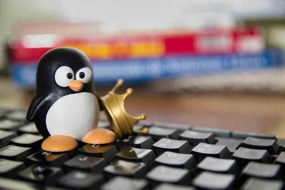 Linux Pingüino