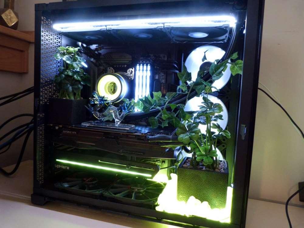 Plantas Dentro PC