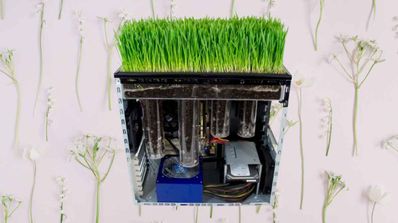 Plantas creciendo dentro torre PC