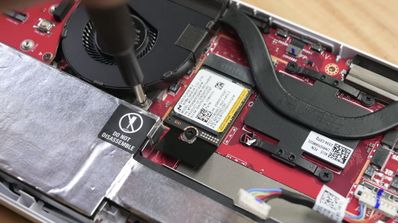 interior rog ally