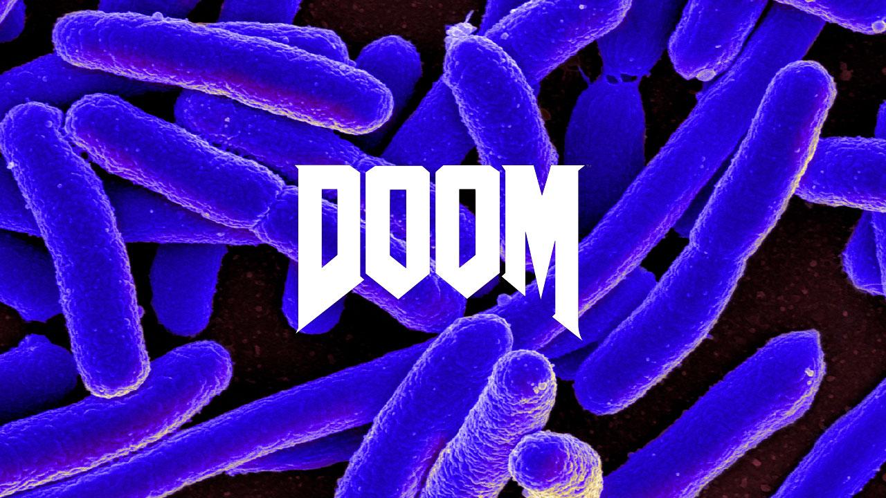 Doom células e-coli.