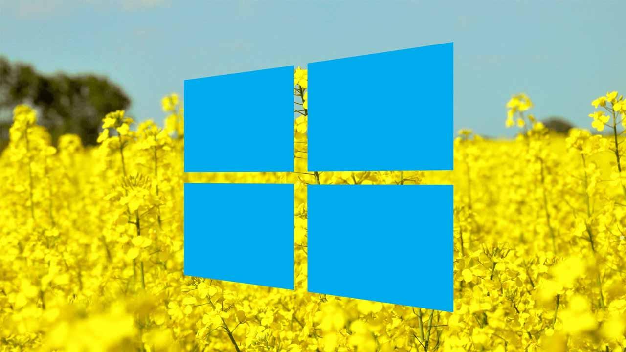 Cover Windows 19 abril v2
