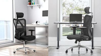 silla ergonómica sihoo m18