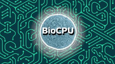 Primer bioprocesador mundo