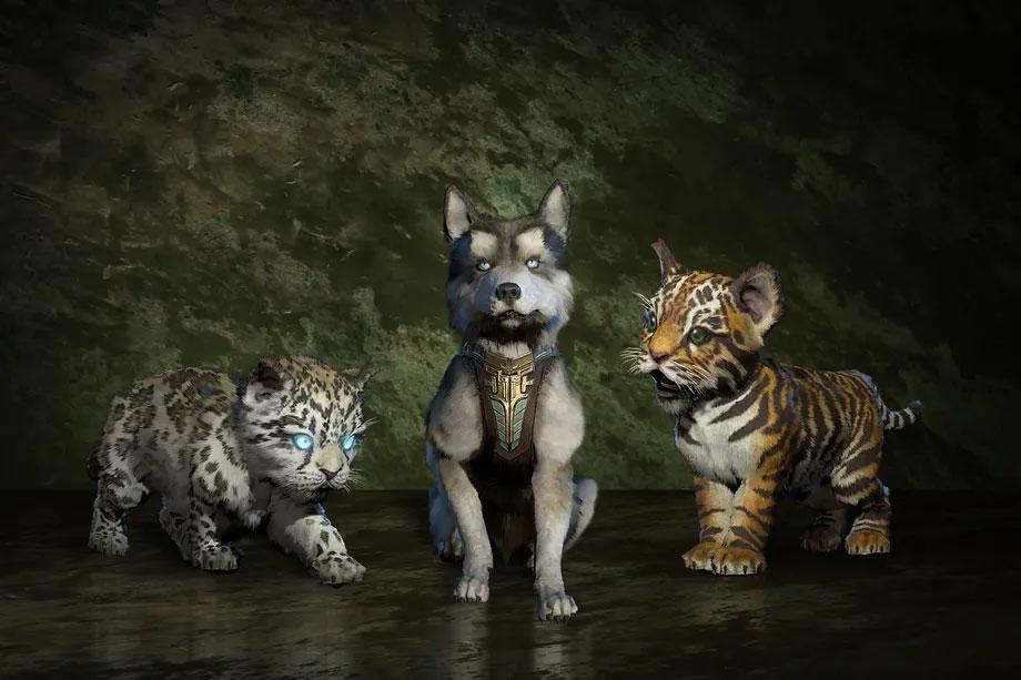 Mascotas de Diablo IV.