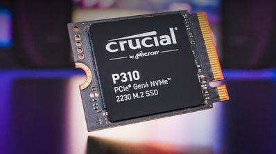 Crucial P310