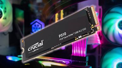 SSD Crucial P310