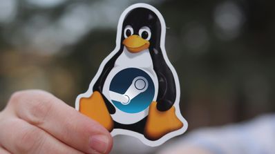 Steam Linux presencia