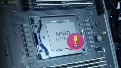 AMD Intel servidor