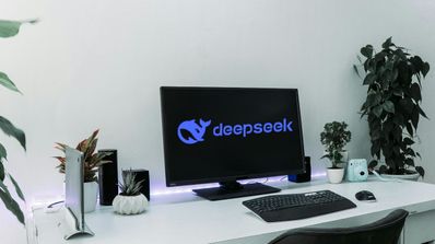 DeepSeek