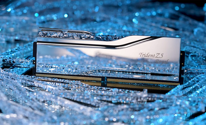 Trident Z5 Royal Series DDR5 Memory