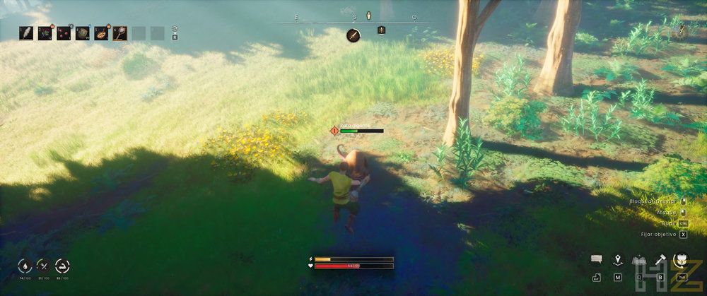 Interfaz de juego en RuneScape Dragonwilds mostrando a un personaje en una zona boscosa con barras de salud y habilidades.