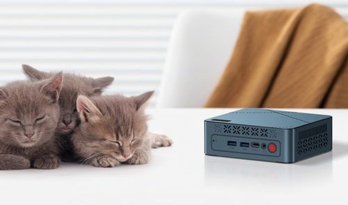 Tres gatitos grises durmiendo junto a un mini PC Bosgame E2 Air sobre una mesa blanca.