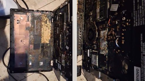 Lenovo con insectos